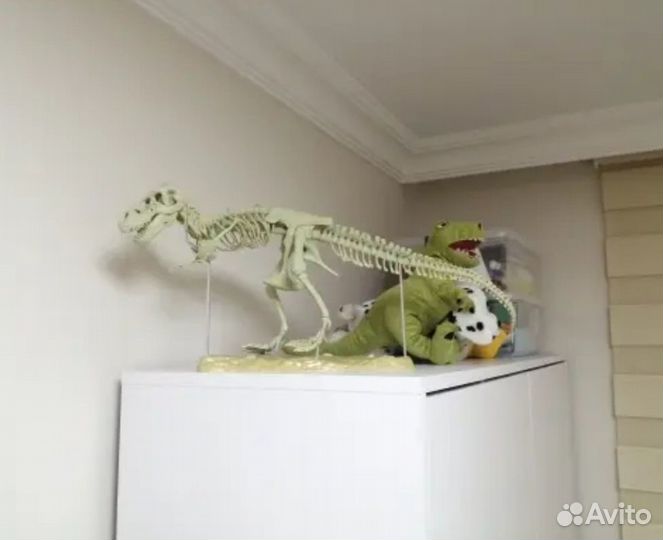 Скелет динозавра модель конструктор 70см