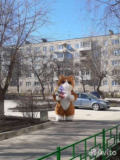 Медведь, Котик, Белый Мишка, Кот, Буба, Аниматоры