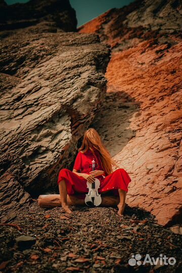 Скрипка белая