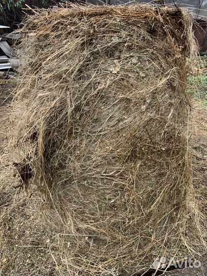 Сено в рулонах