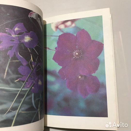 Цветоводство для всех