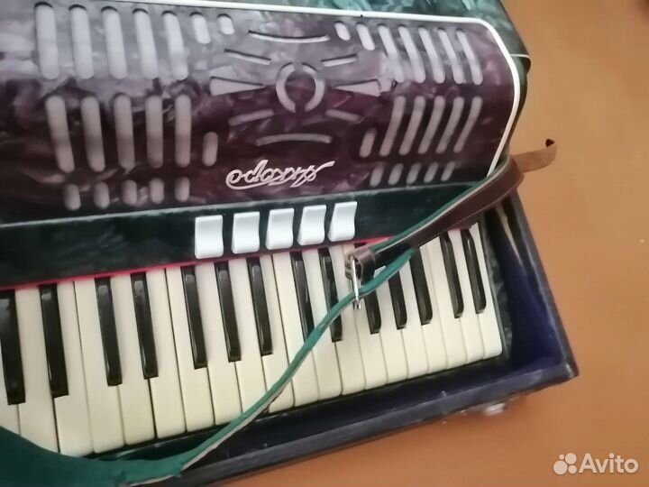 Аккордеон аккорд калуга