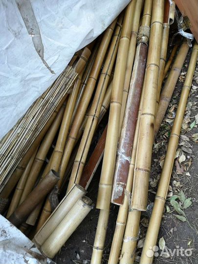 Ствол бамбука, бамбук, половинки бамбука