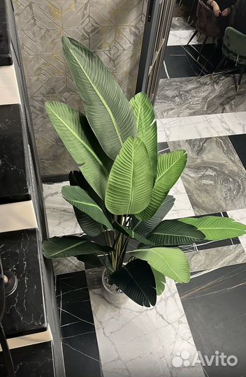 Искусственные растения. Банановая пальма/Стрелиция
