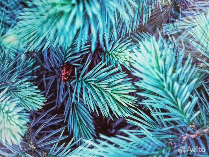 Ткань футер 2х нитка