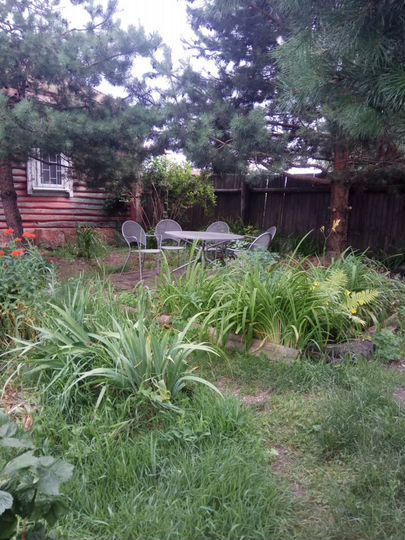 Дом 40 м² на участке 40 сот.