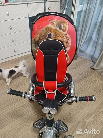 Велосипед lexus trike