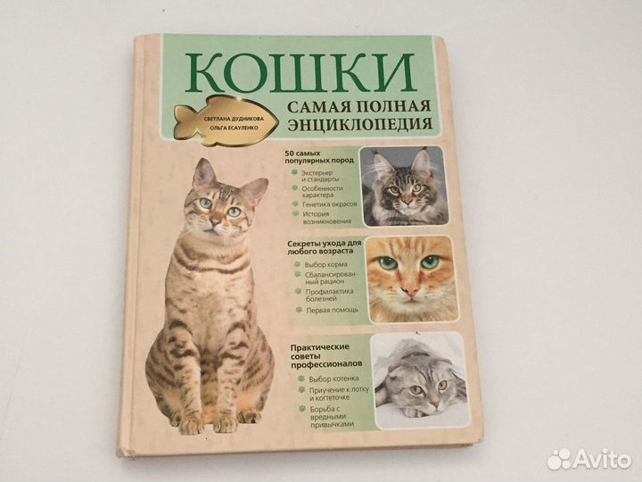 Энциклопедия все о Домашних Кошках