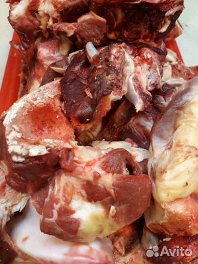 Продам говяжьи рубцы для собак