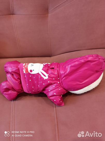 Комбинезон для мелкой собаки зима