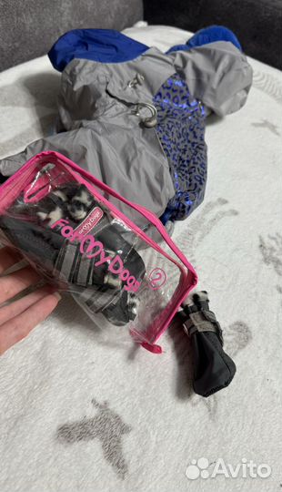 Обувь для маленьких собак