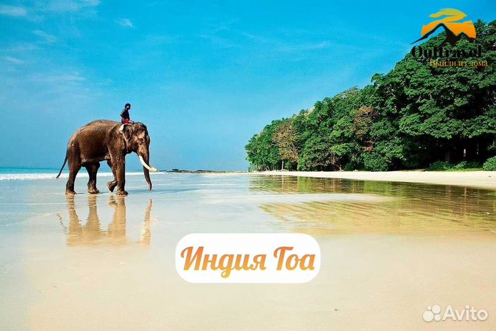 Индия Гоа тур на двоих (мин цена за человека)