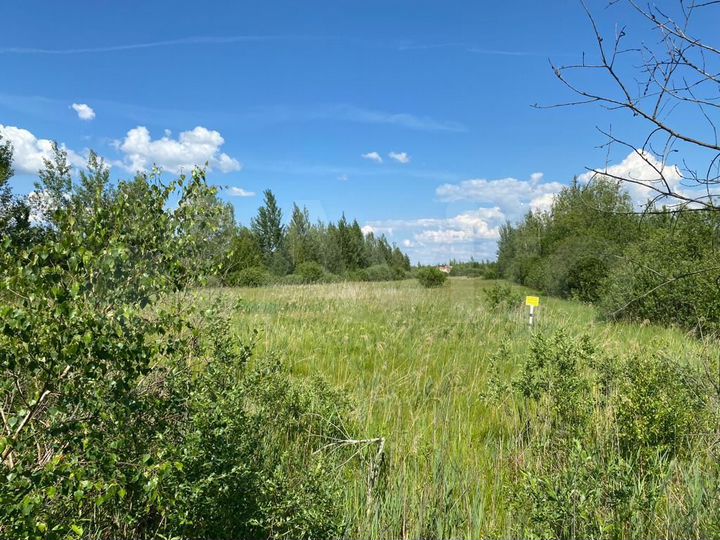 Участок 74 га (СНТ, ДНП)