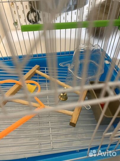 Клетка для птиц