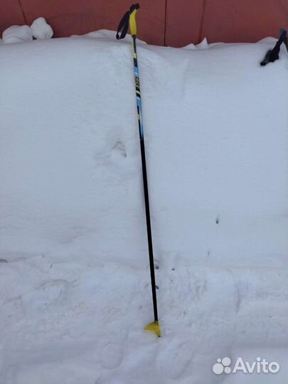 Лыжные палки