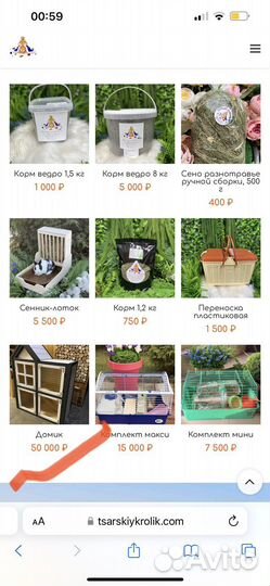 Ручные кролики мини домашние