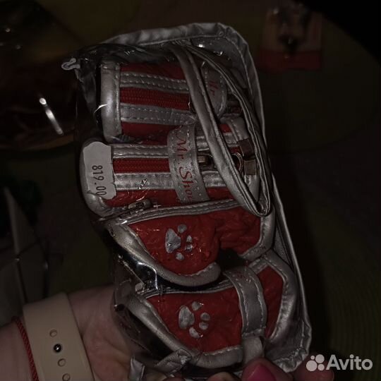 Ботинки для маленьких собак