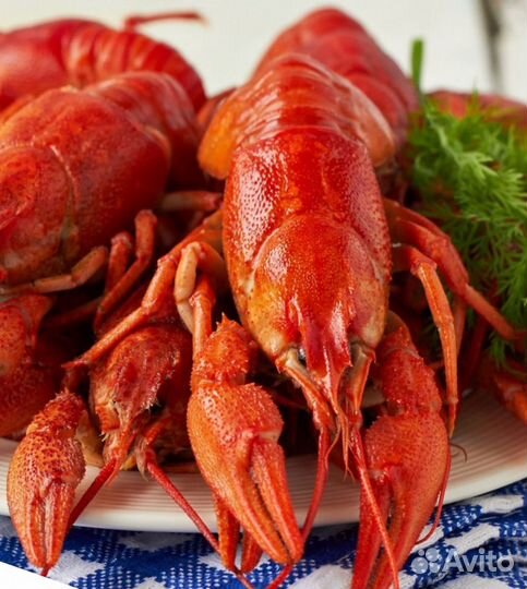 Раки живые, варёные в Краснодаре 09:00-21:00