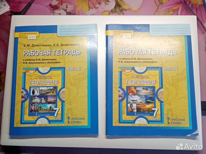 Тетради школьные (информатика 6-7 по 2 части)