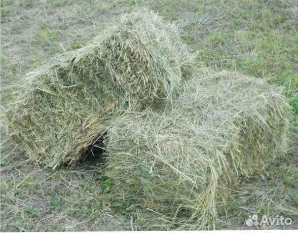 Сено в тюках
