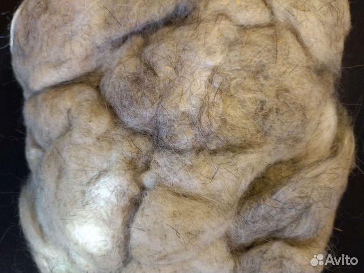 Шерсть для валяния немытая
