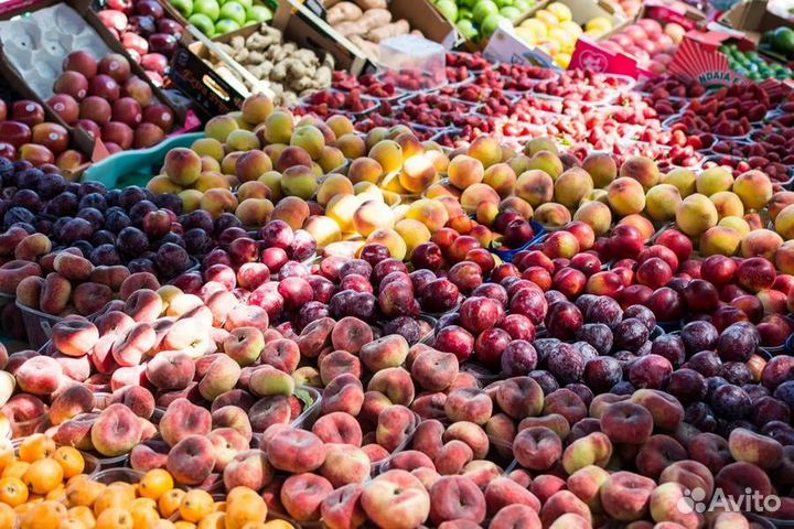 Экскурсионный автобусный тур в Азовское море 28.08