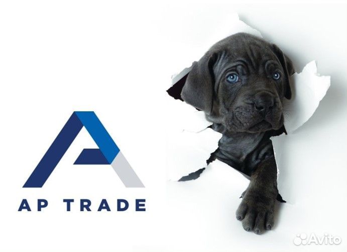 Торговый представитель (контракт Purina)