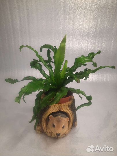 Оригинальные кашпо для растений