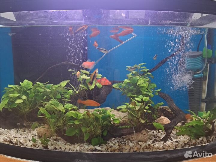 Аквариум с тумбой 120 литров