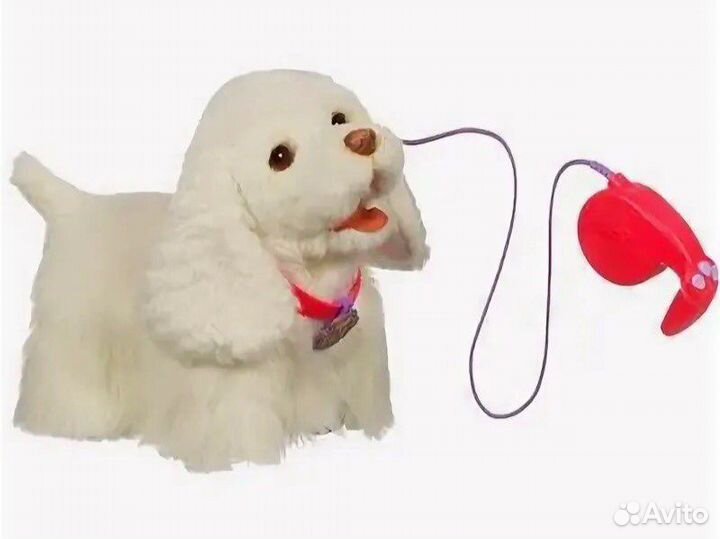 Интерактивная собака на поводке hasbro FRF GoGo