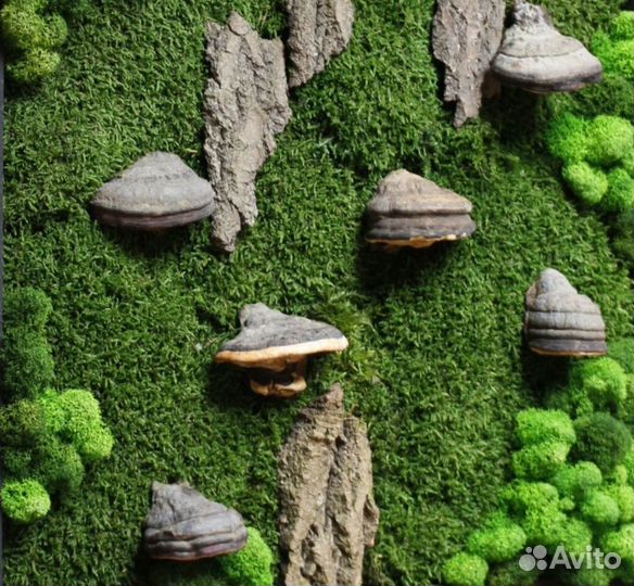 Дерево из стабилизированного мха