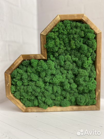 Сердце/звезда со стабилизированным мхом