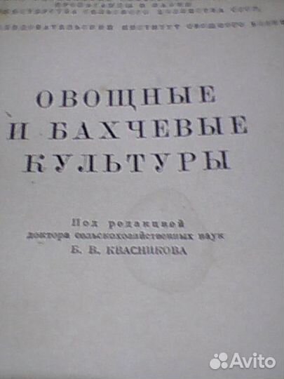 Овощные и бахчевые культуры 1955 год