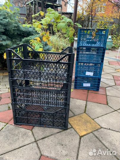 Ящик пластиковый