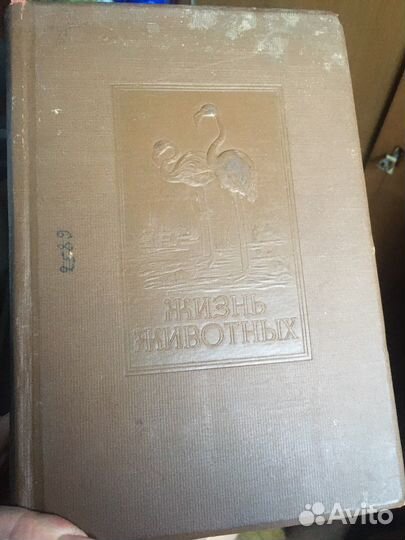 Жизнь животных по Брэму