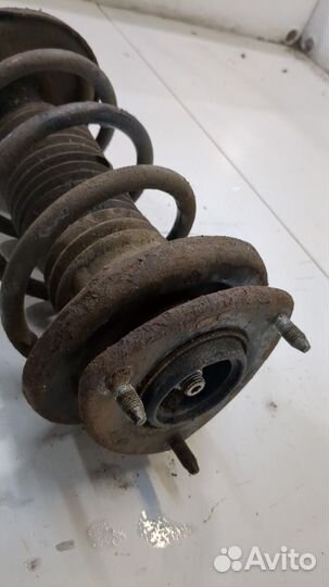 Амортизатор подвески левый передний Suzuki Grand Vitara, 2011