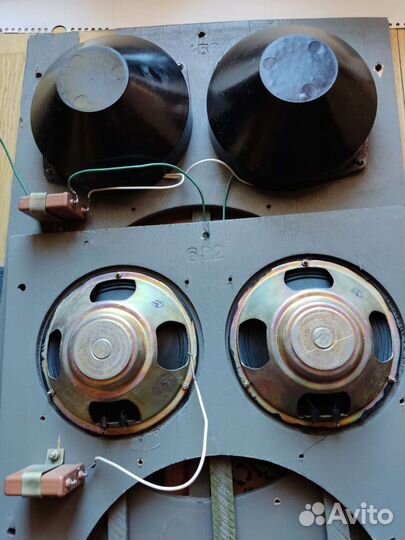 Динамики 2гд19м