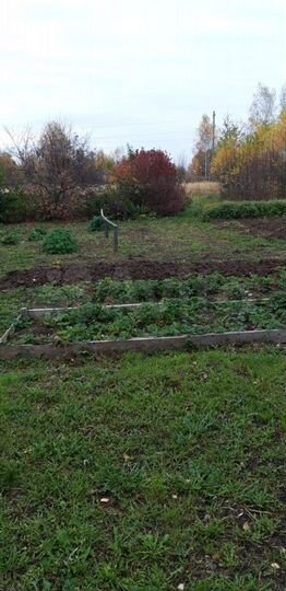 Участок 10 сот. (СНТ, ДНП)