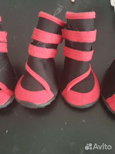 Ботинки для собак