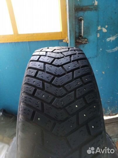Kelly Winter Ice 185/65 R15