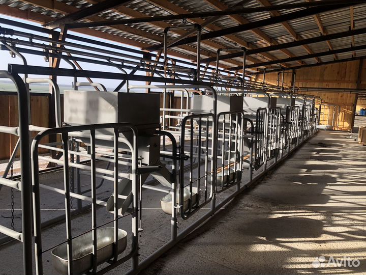 Станок для дойки крс (летний лагерь)