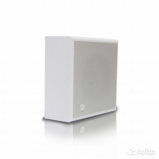 Настенная акустика CVGaudio WPS6T