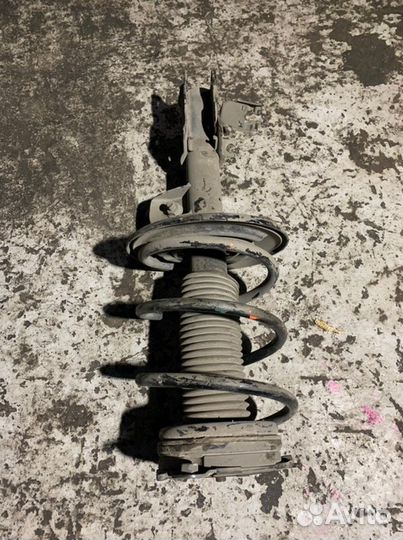 Амортизатор передний левый Nissan Teana J32 VQ25DE