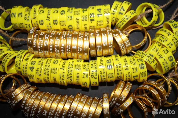 Кольца для кур бойцовых петухов