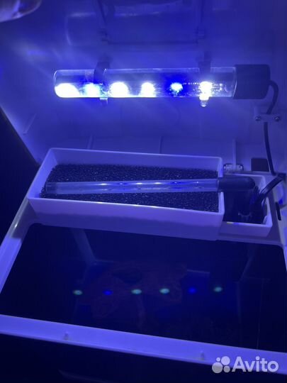 Мини аквариум barbus