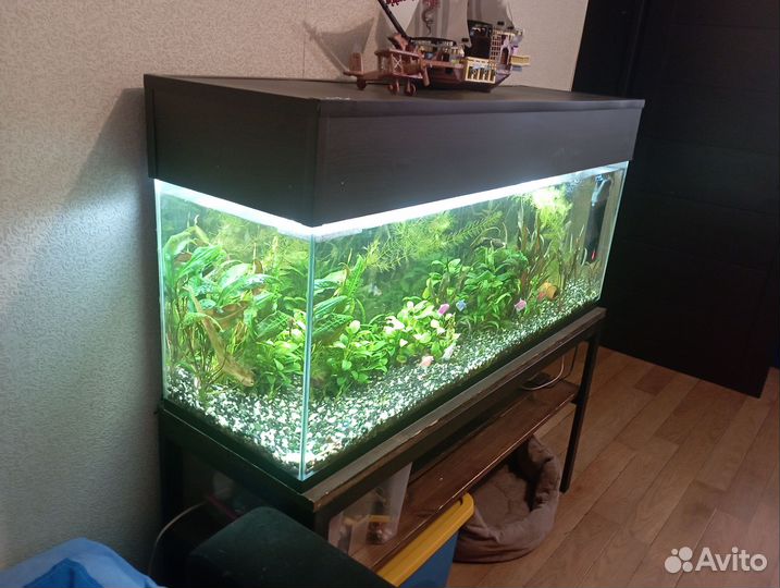 Аквариум