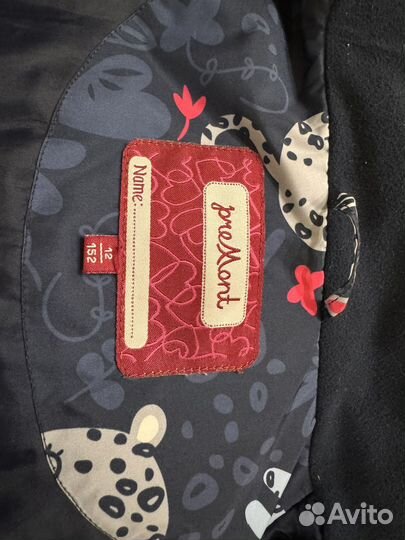 Демисезонный мембранный комплект, 152 рост