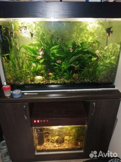Украшение для аквариума