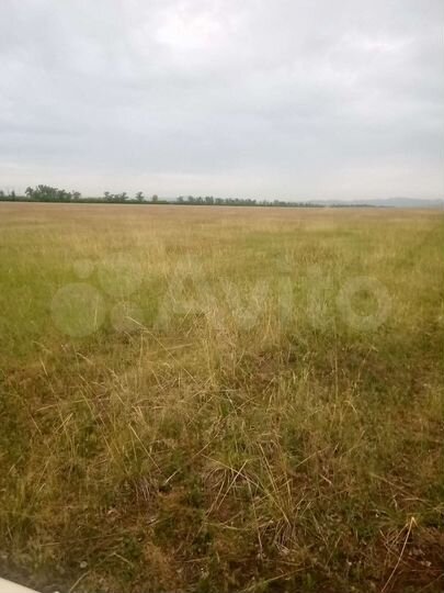 Участок 60 га (СНТ, ДНП)