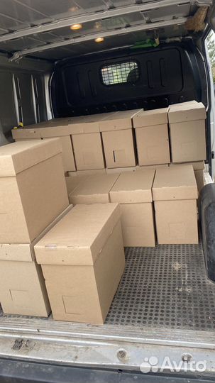 Пчелопакеты на 2023 год ВДНХ